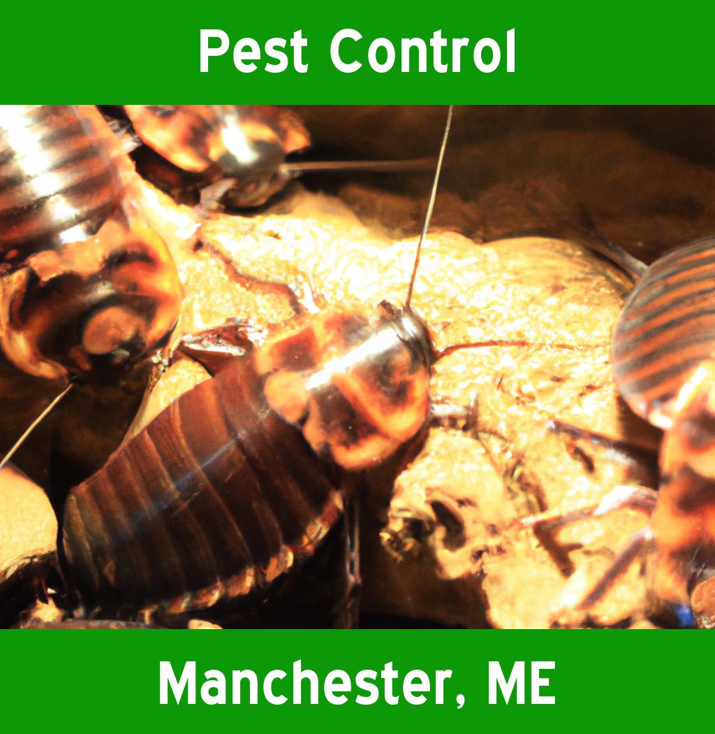 pest control in Manchester Maine