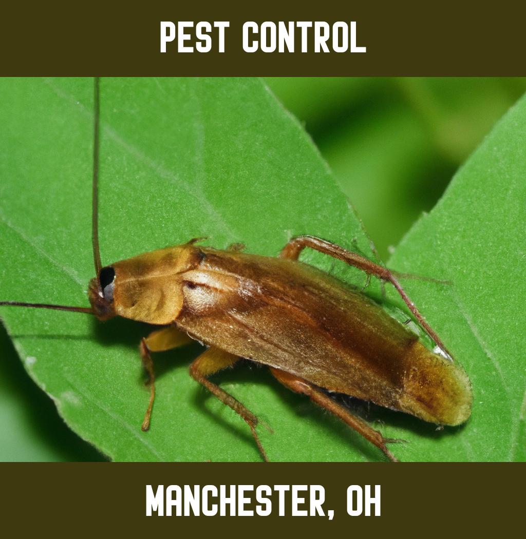 pest control in Manchester Ohio