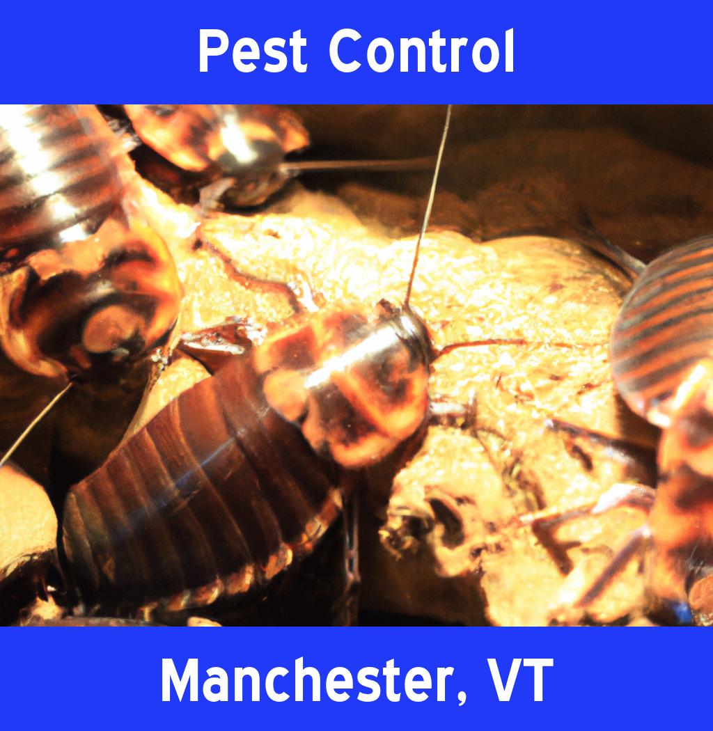 pest control in Manchester Vermont