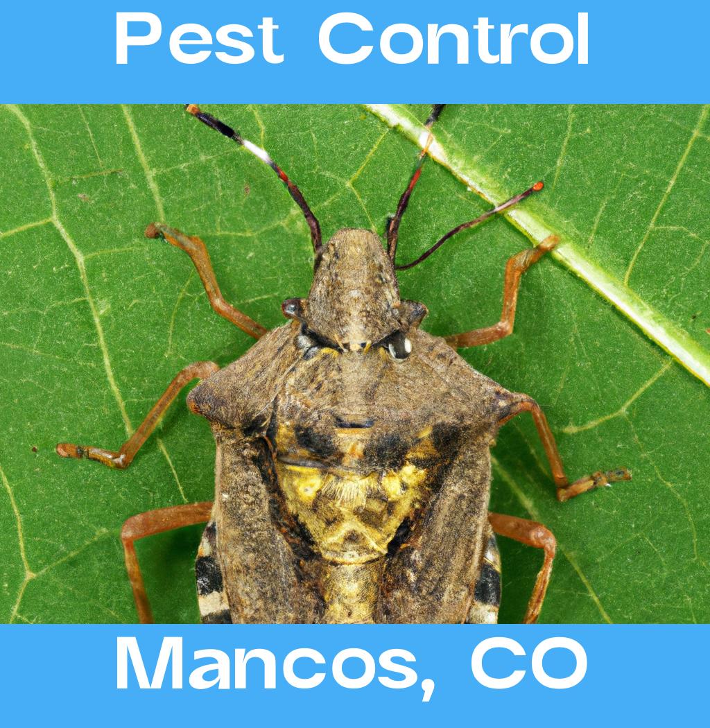 pest control in Mancos Colorado