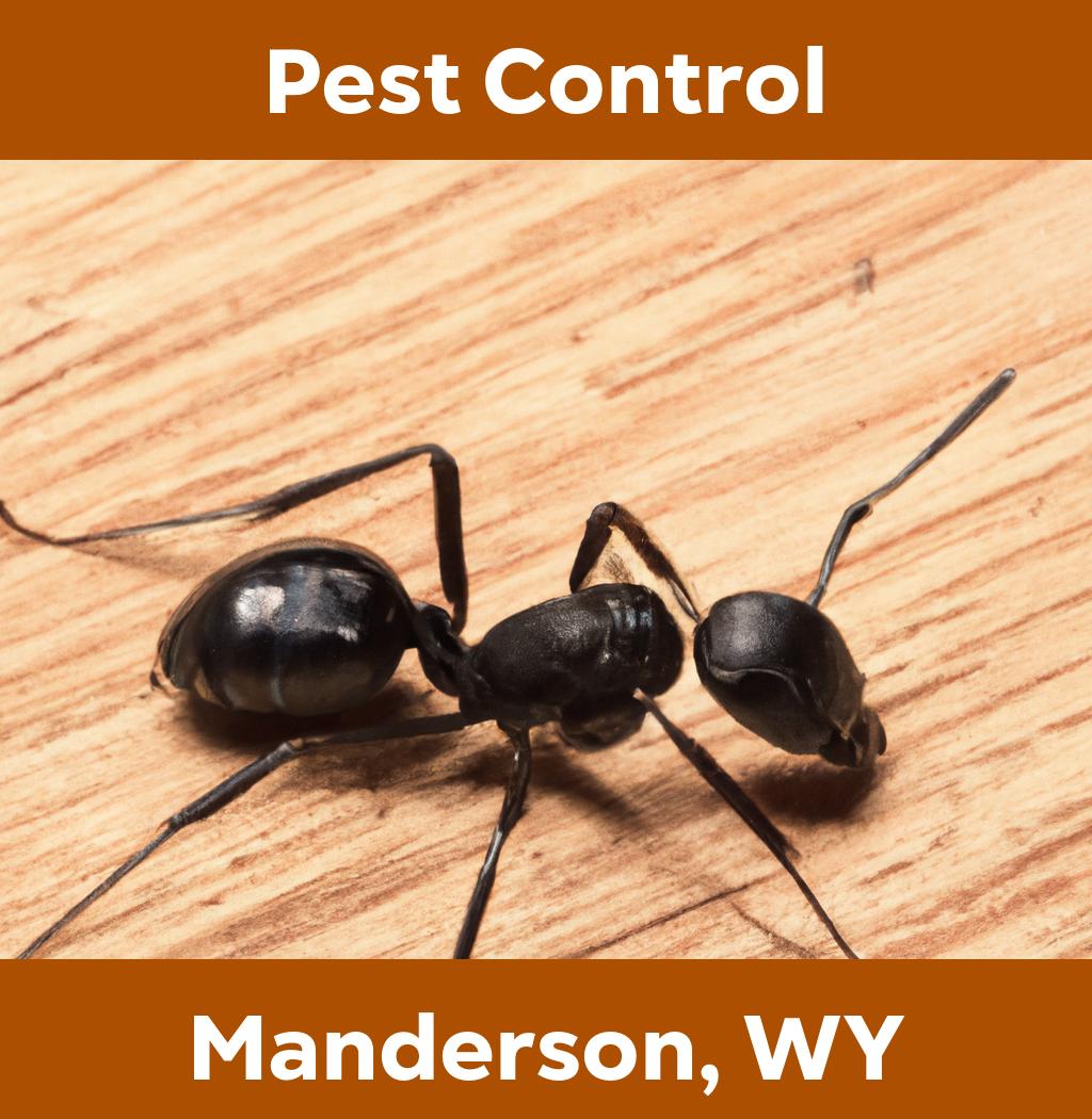 pest control in Manderson Wyoming