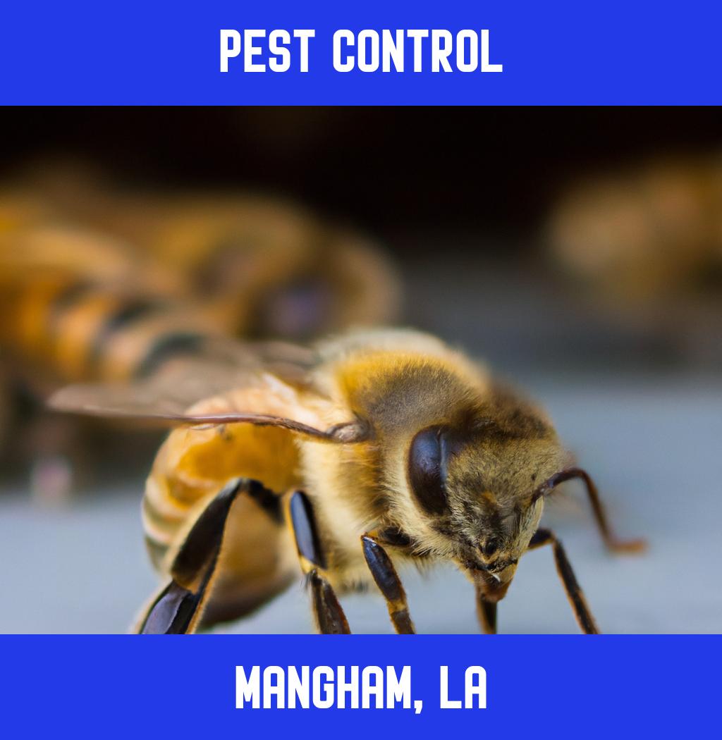 pest control in Mangham Louisiana