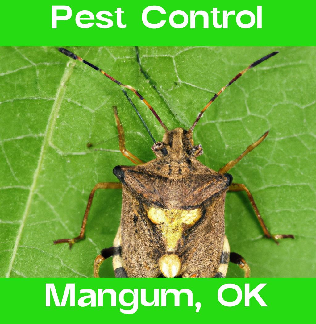 pest control in Mangum Oklahoma