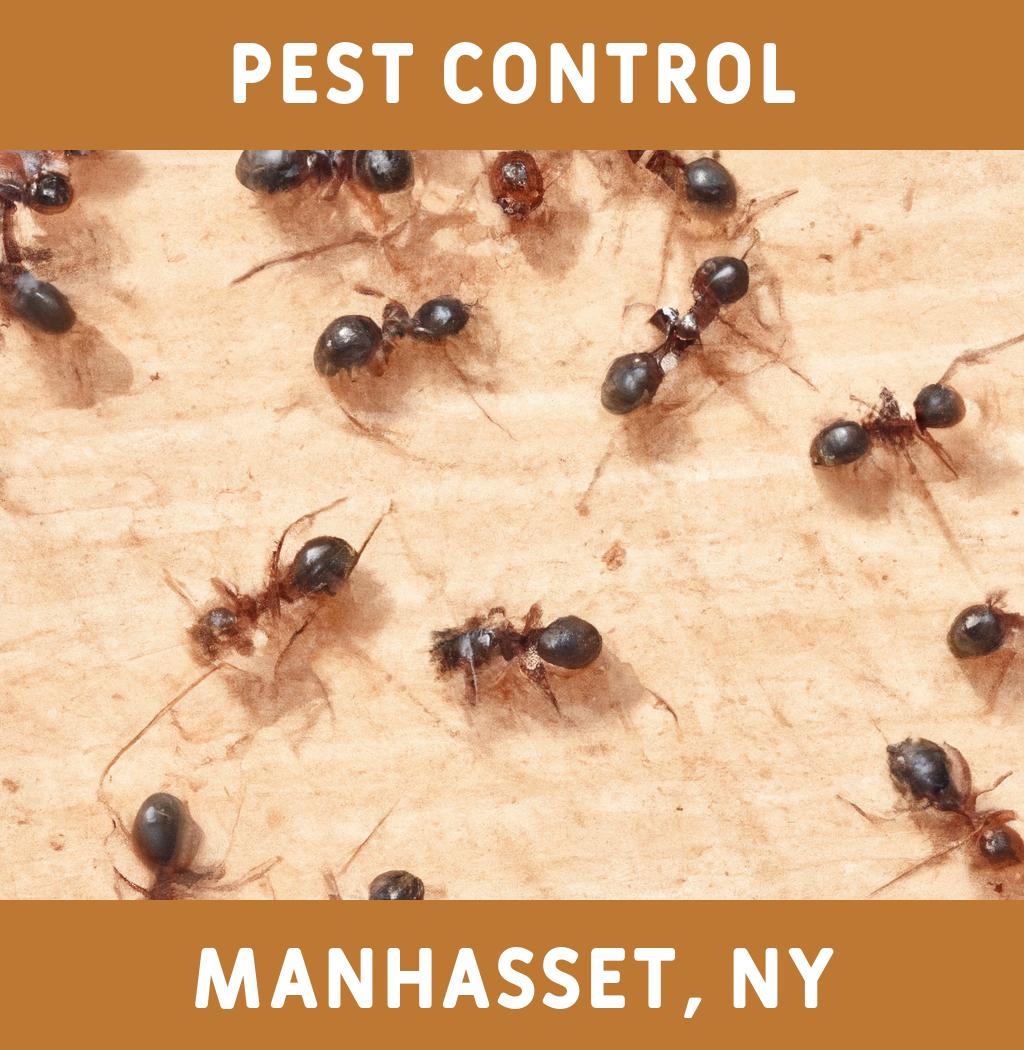 pest control in Manhasset New York