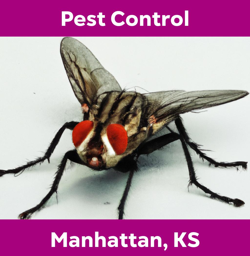 pest control in Manhattan Kansas