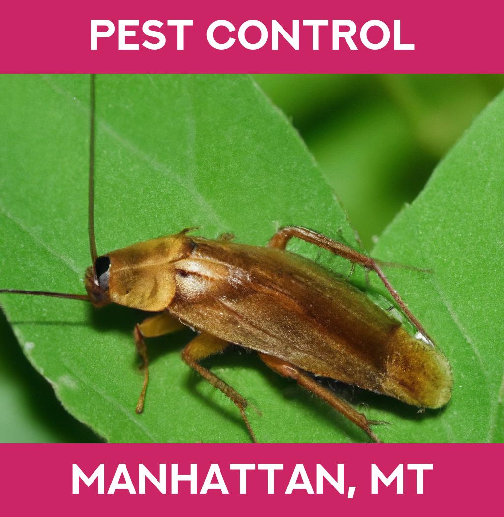 pest control in Manhattan Montana