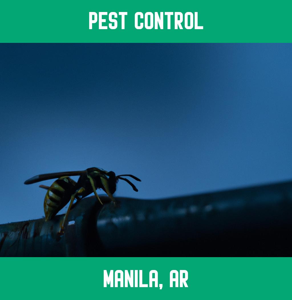 pest control in Manila Arkansas