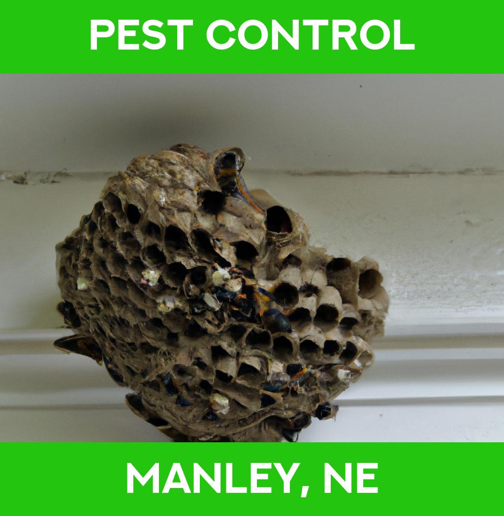 pest control in Manley Nebraska