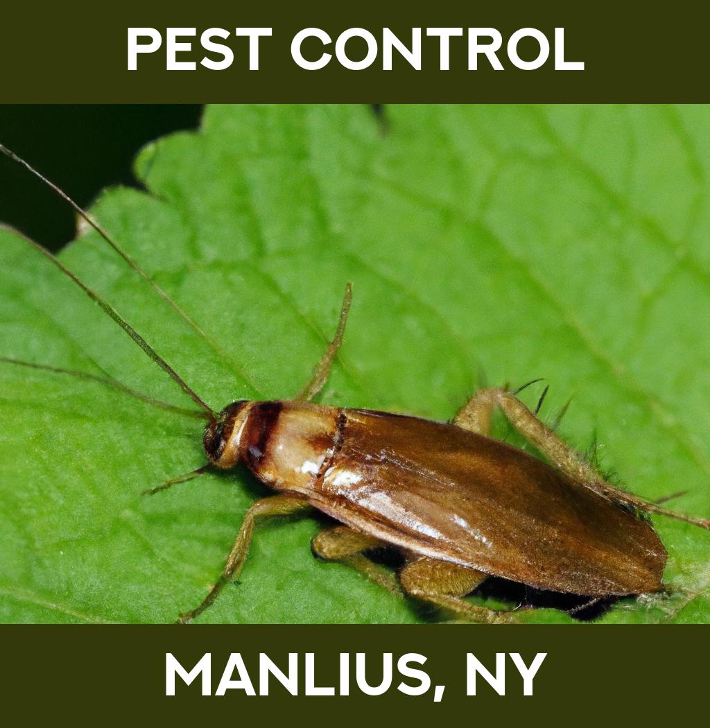 pest control in Manlius New York