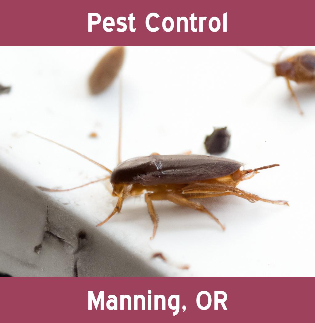 pest control in Manning Oregon