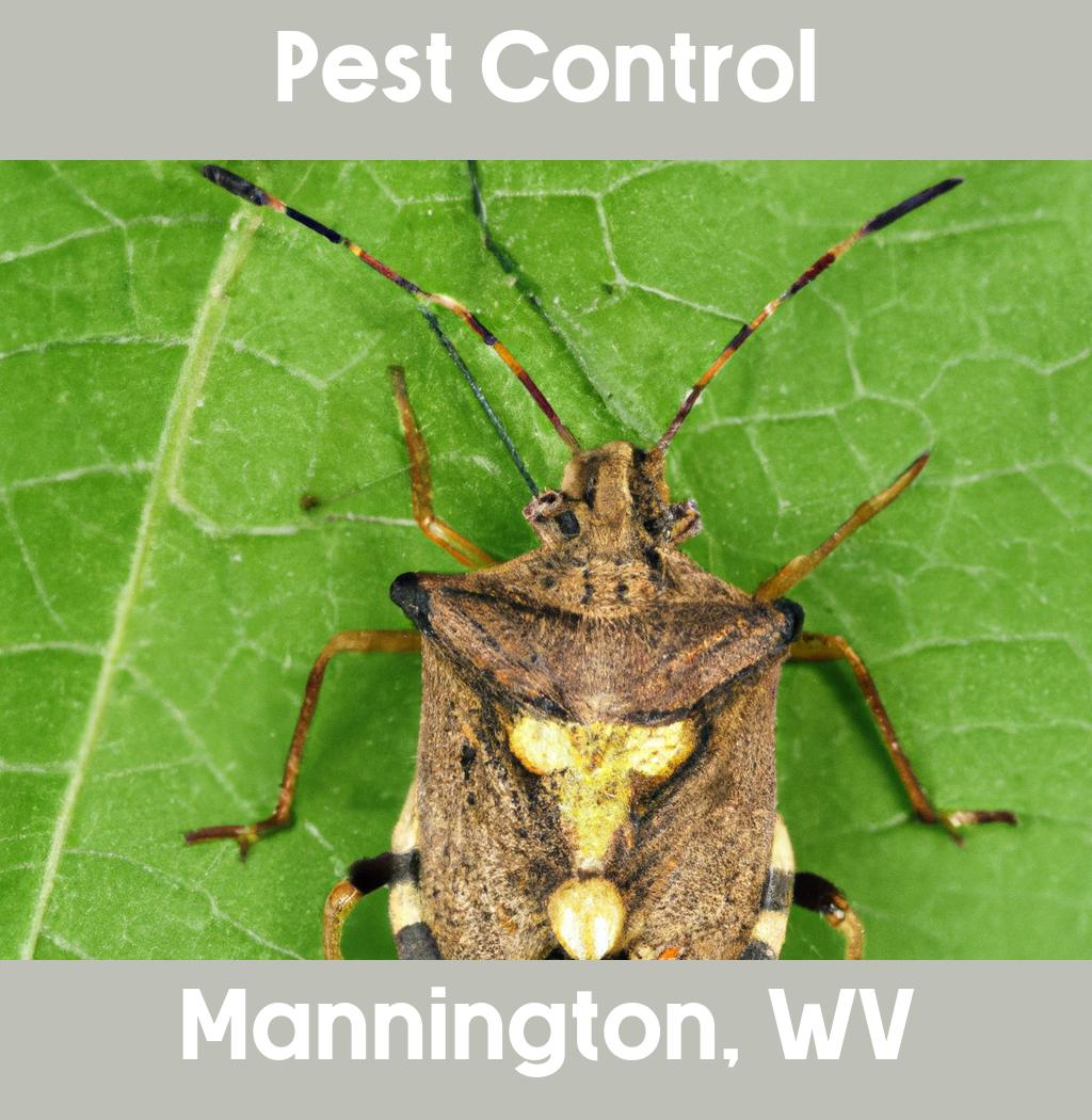 pest control in Mannington West Virginia