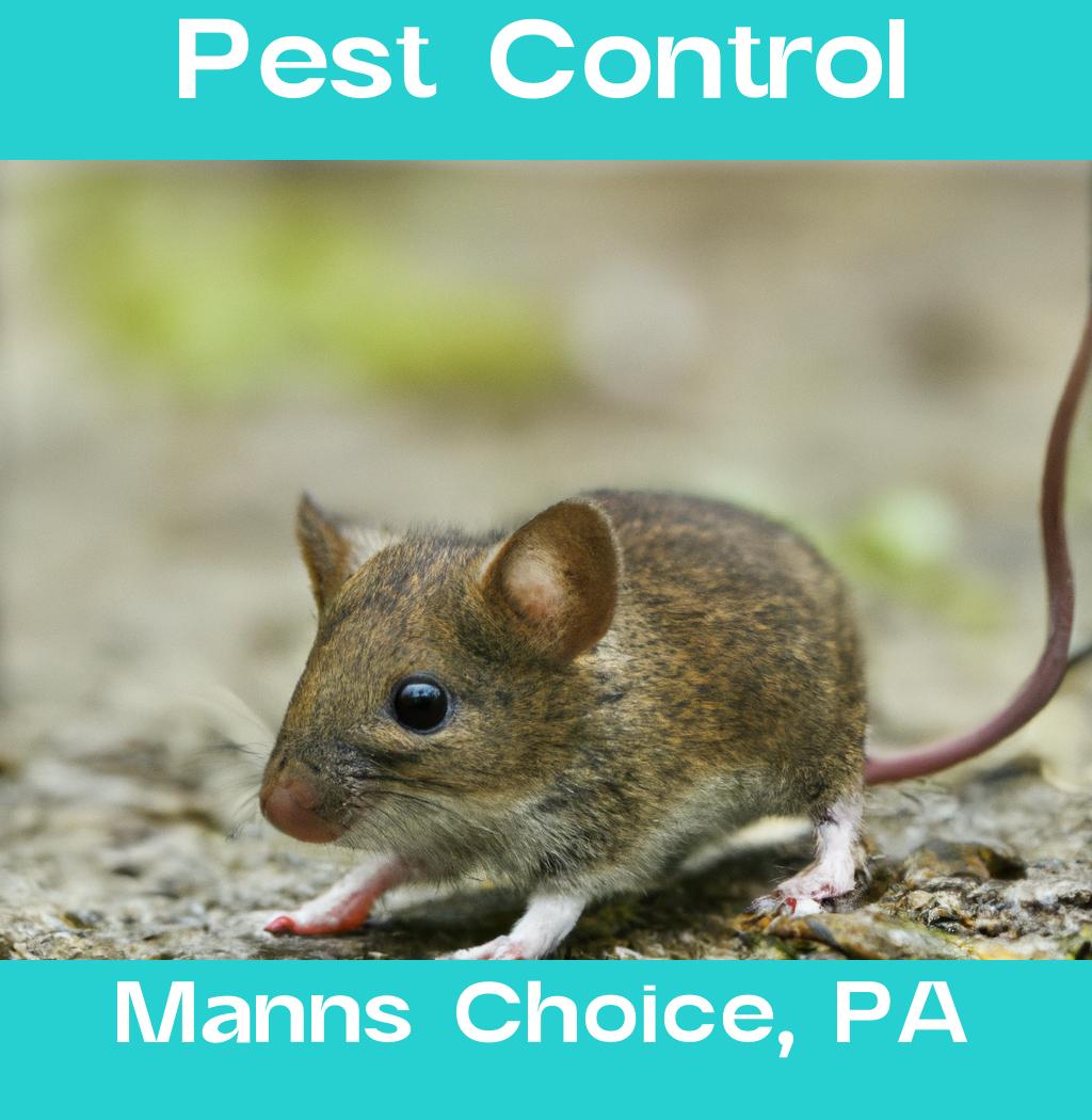 pest control in Manns Choice Pennsylvania