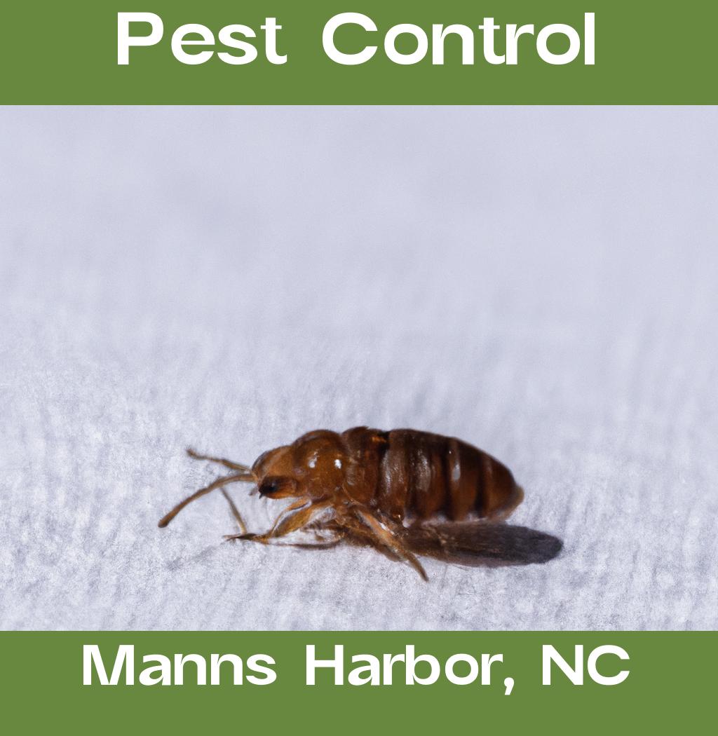 pest control in Manns Harbor North Carolina