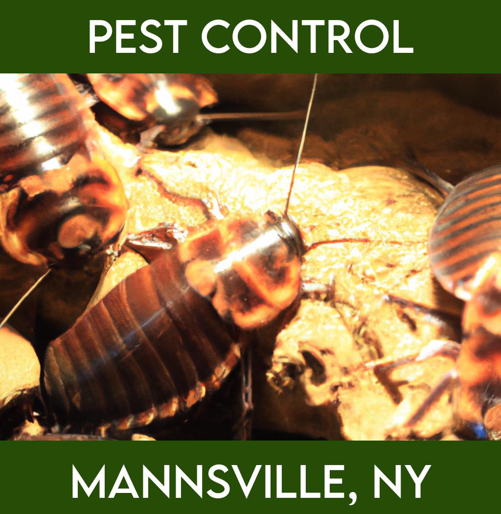 pest control in Mannsville New York