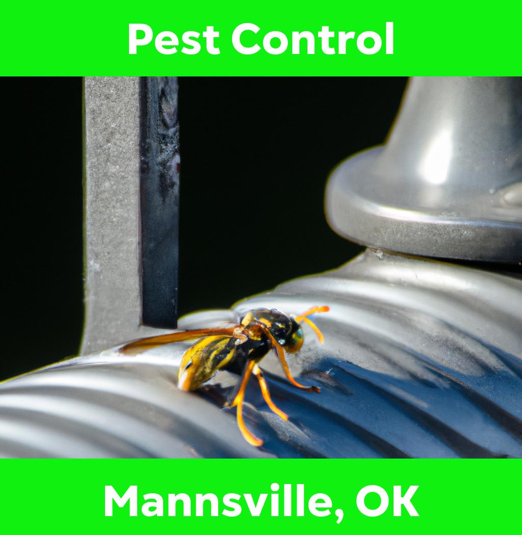 pest control in Mannsville Oklahoma