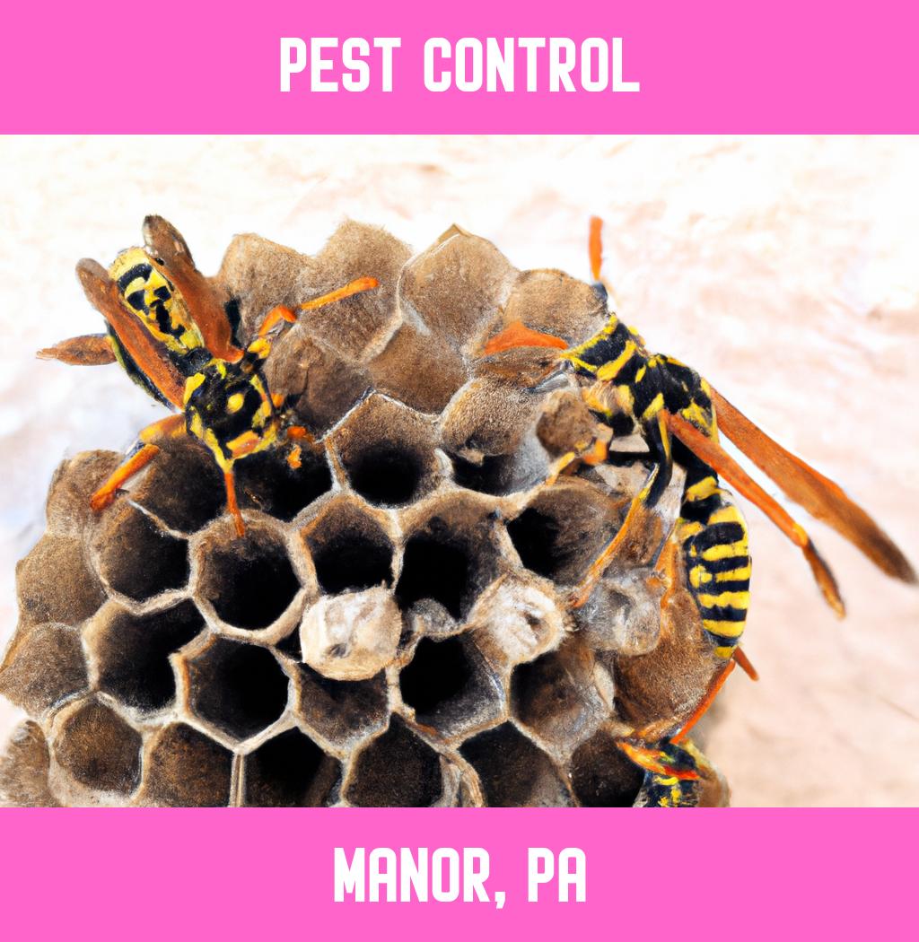 pest control in Manor Pennsylvania