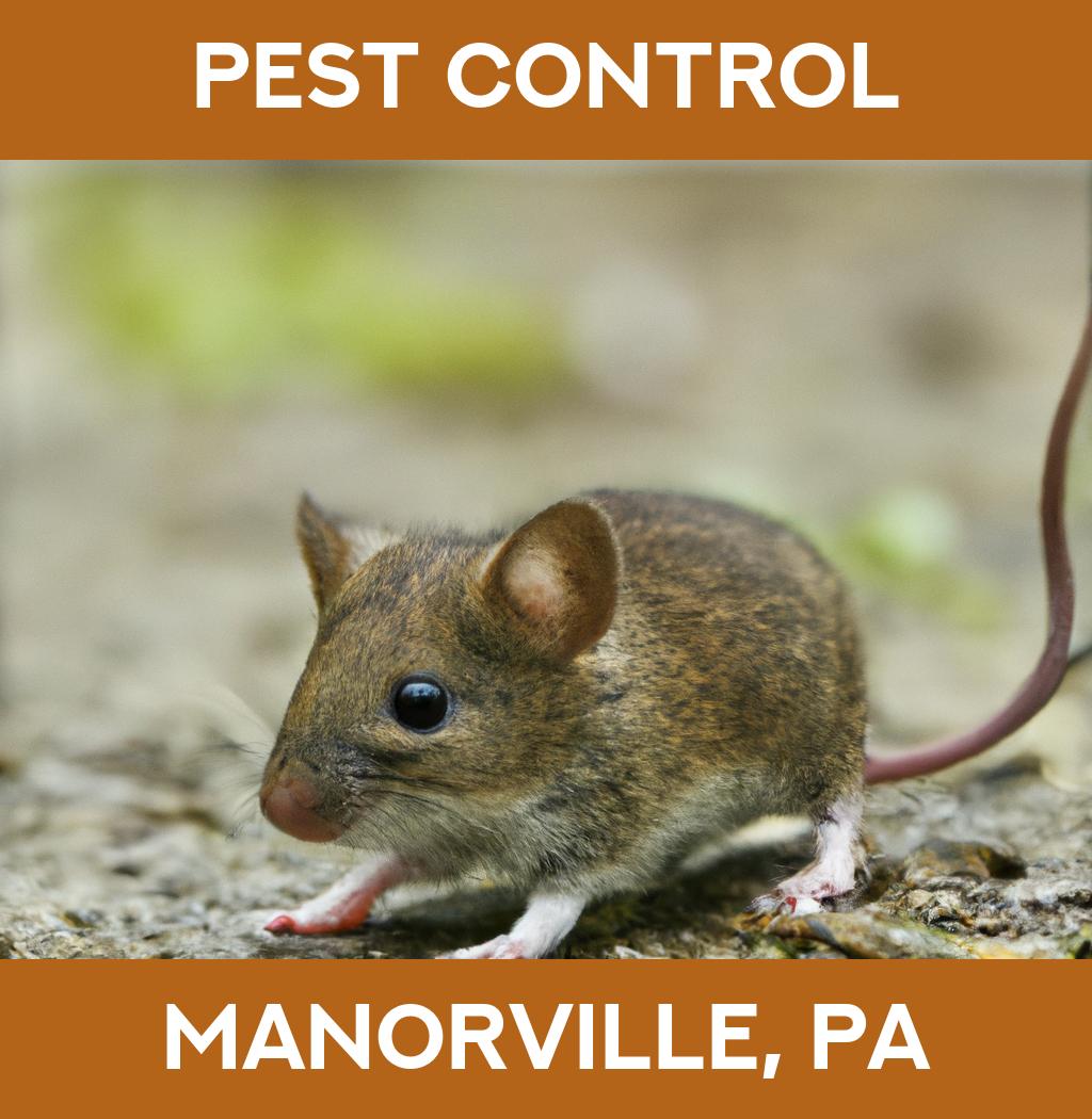 pest control in Manorville Pennsylvania