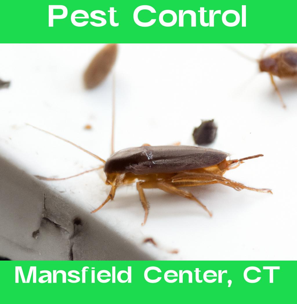 pest control in Mansfield Center Connecticut