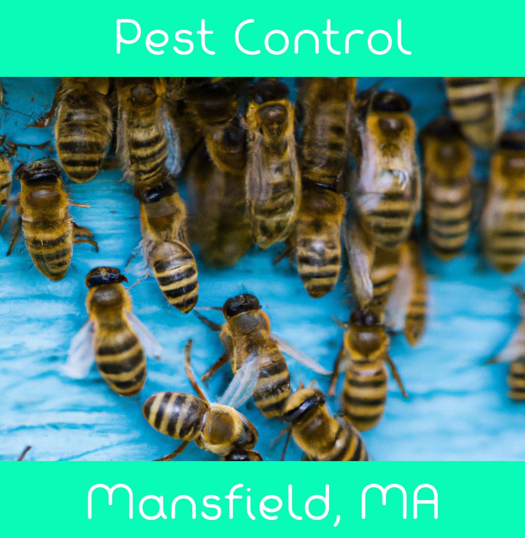 pest control in Mansfield Massachusetts
