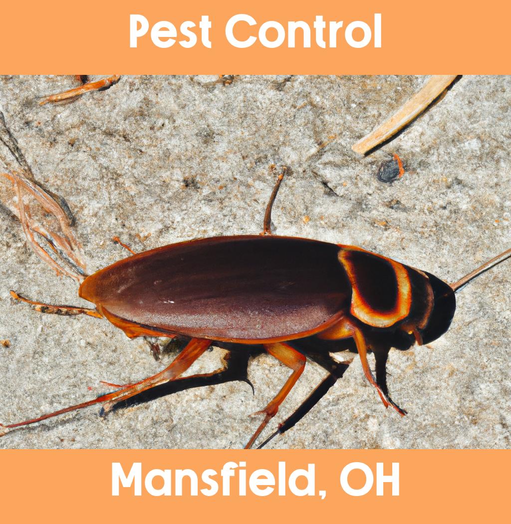 pest control in Mansfield Ohio