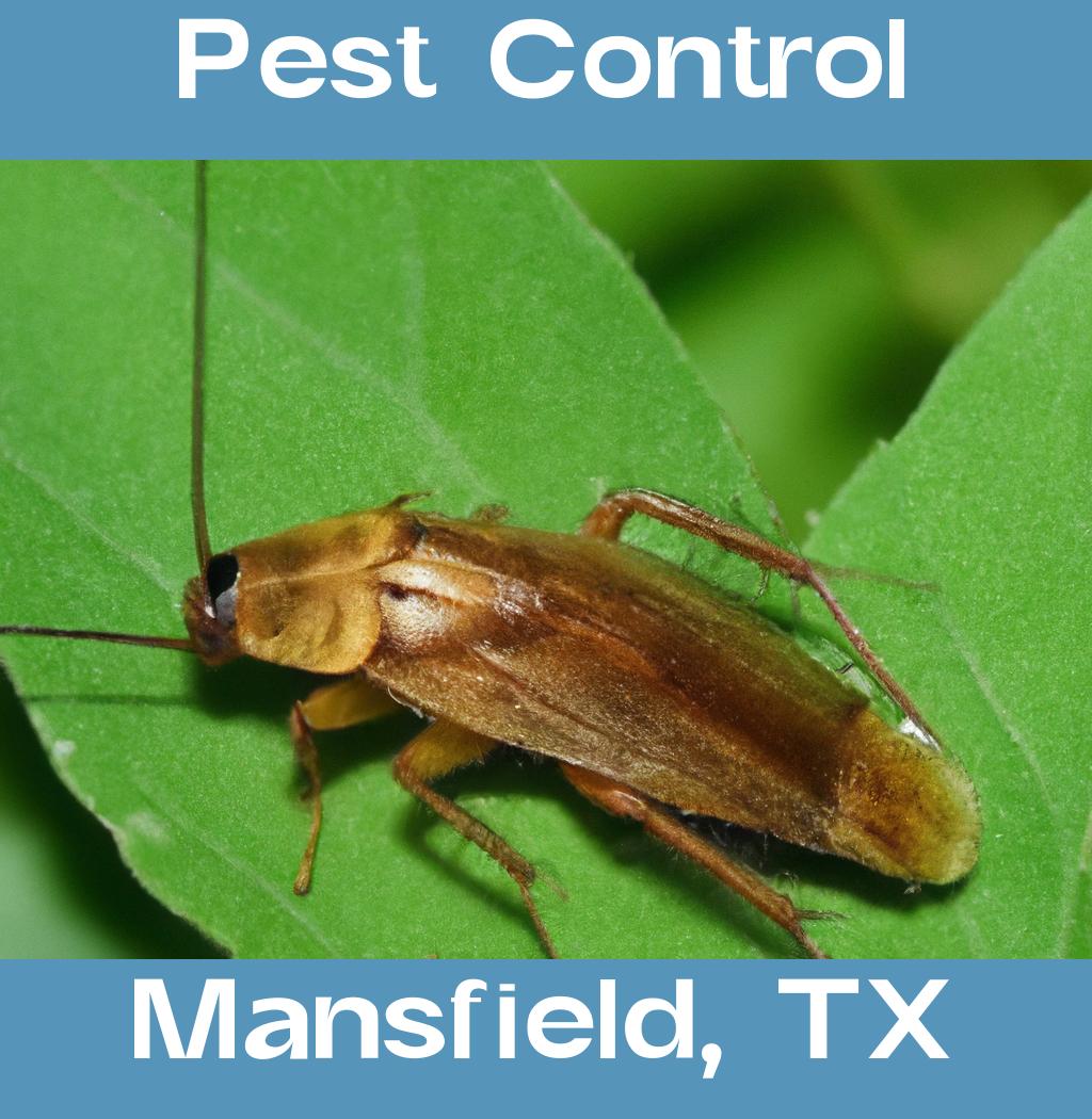 pest control in Mansfield Texas