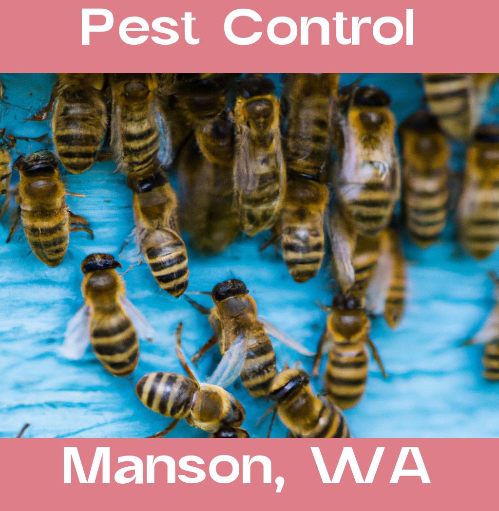 pest control in Manson Washington