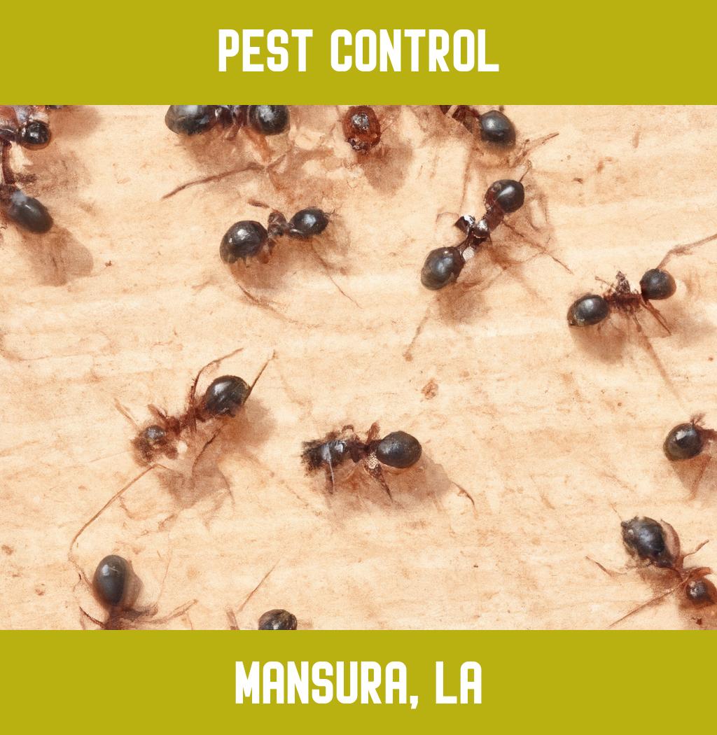 pest control in Mansura Louisiana