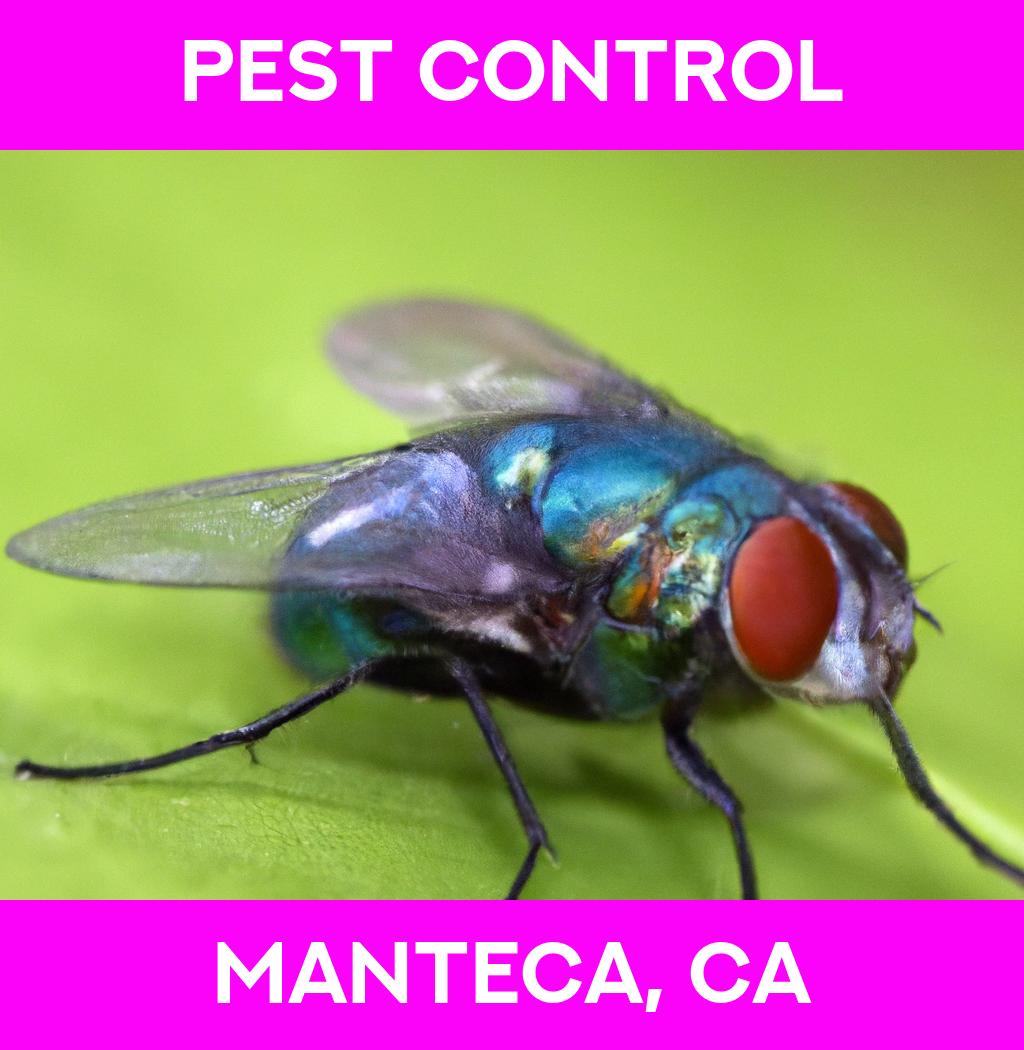 pest control in Manteca California