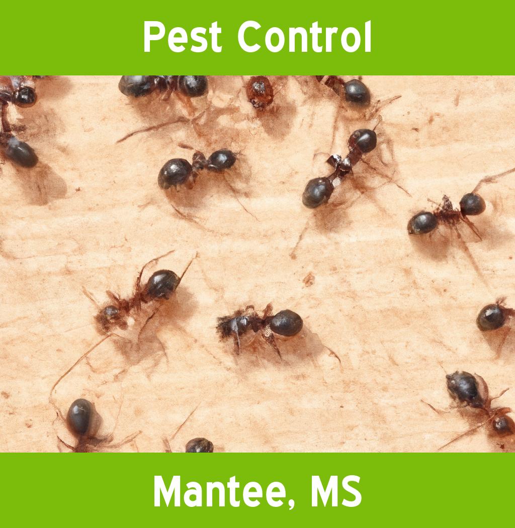 pest control in Mantee Mississippi