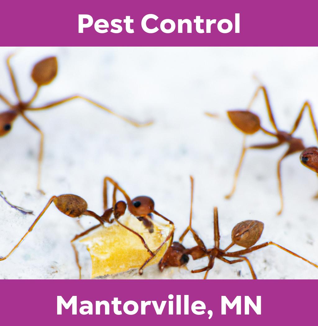 pest control in Mantorville Minnesota