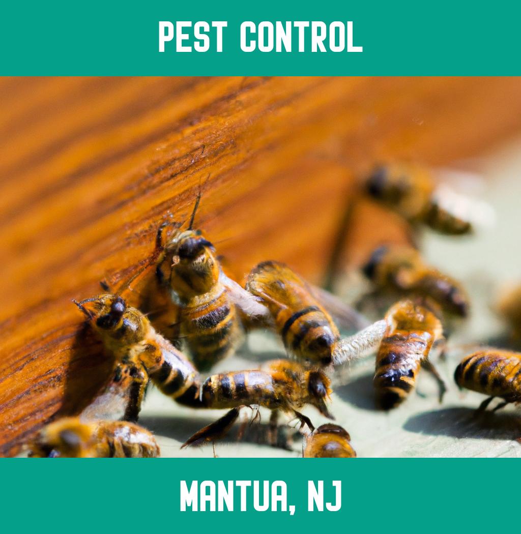 pest control in Mantua New Jersey