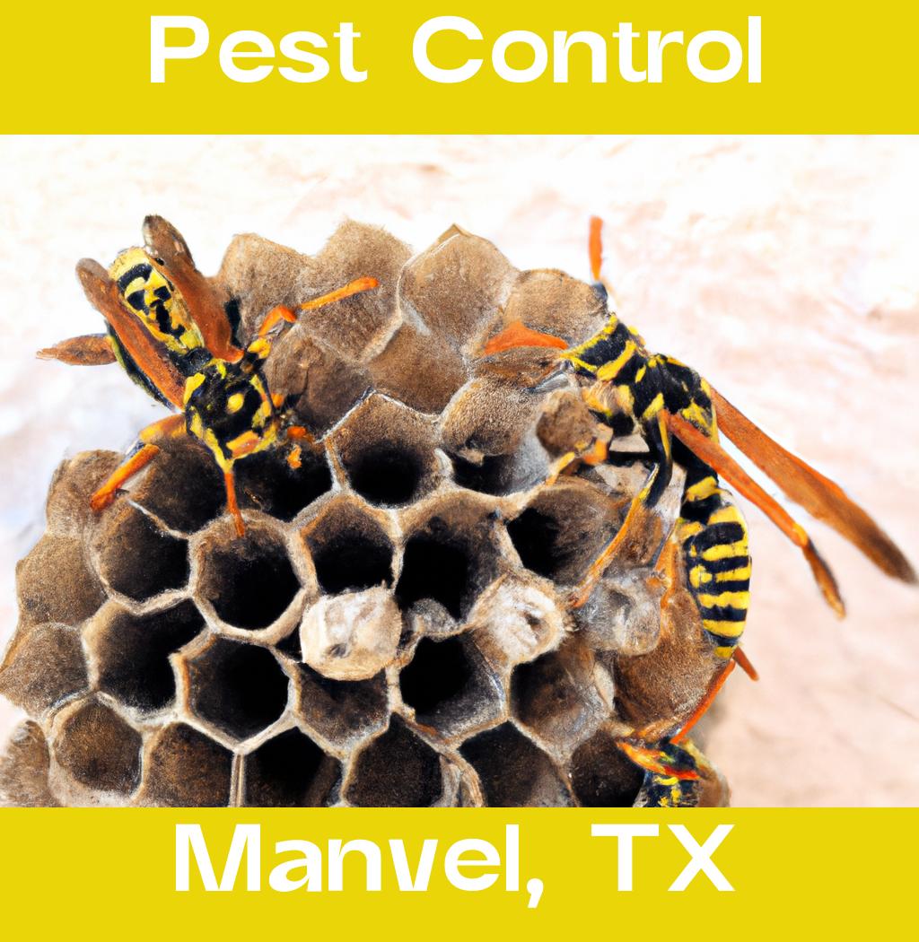 pest control in Manvel Texas