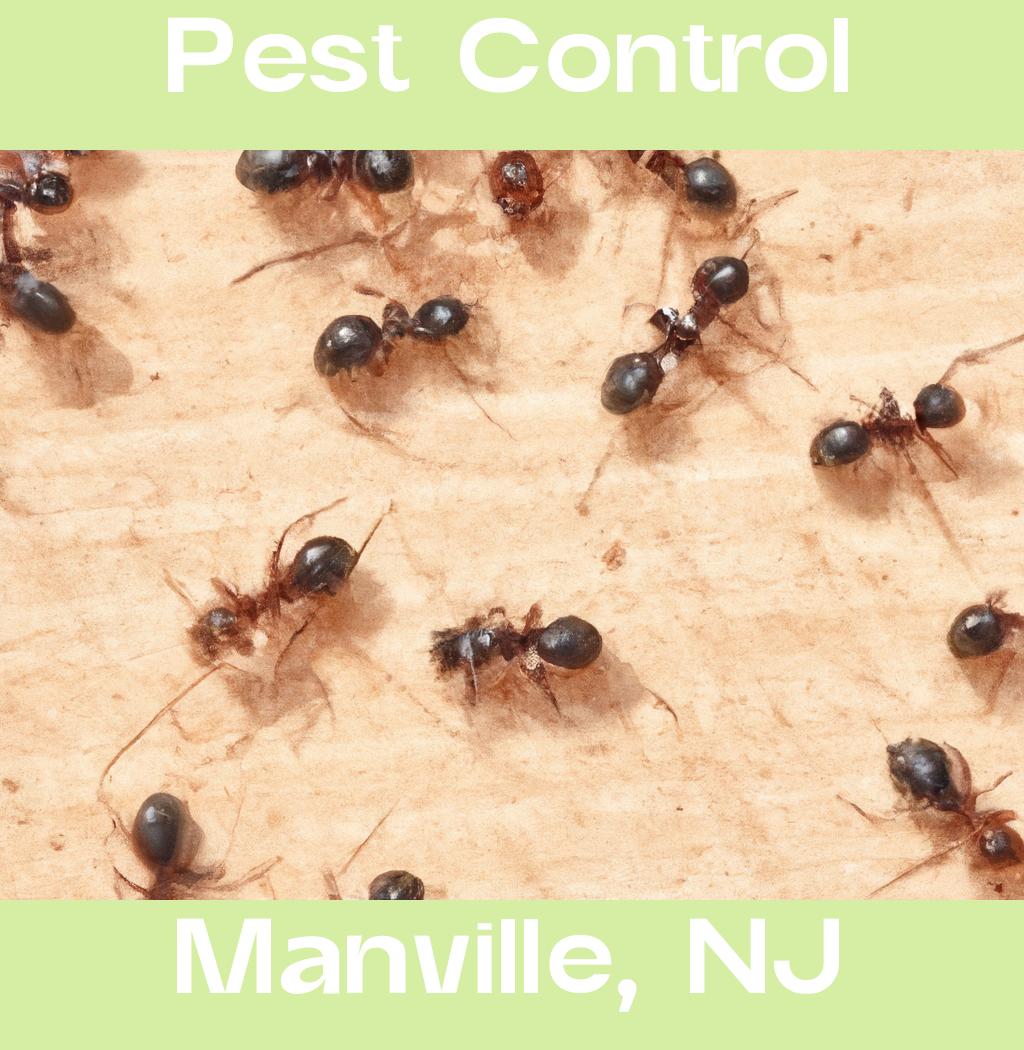 pest control in Manville New Jersey