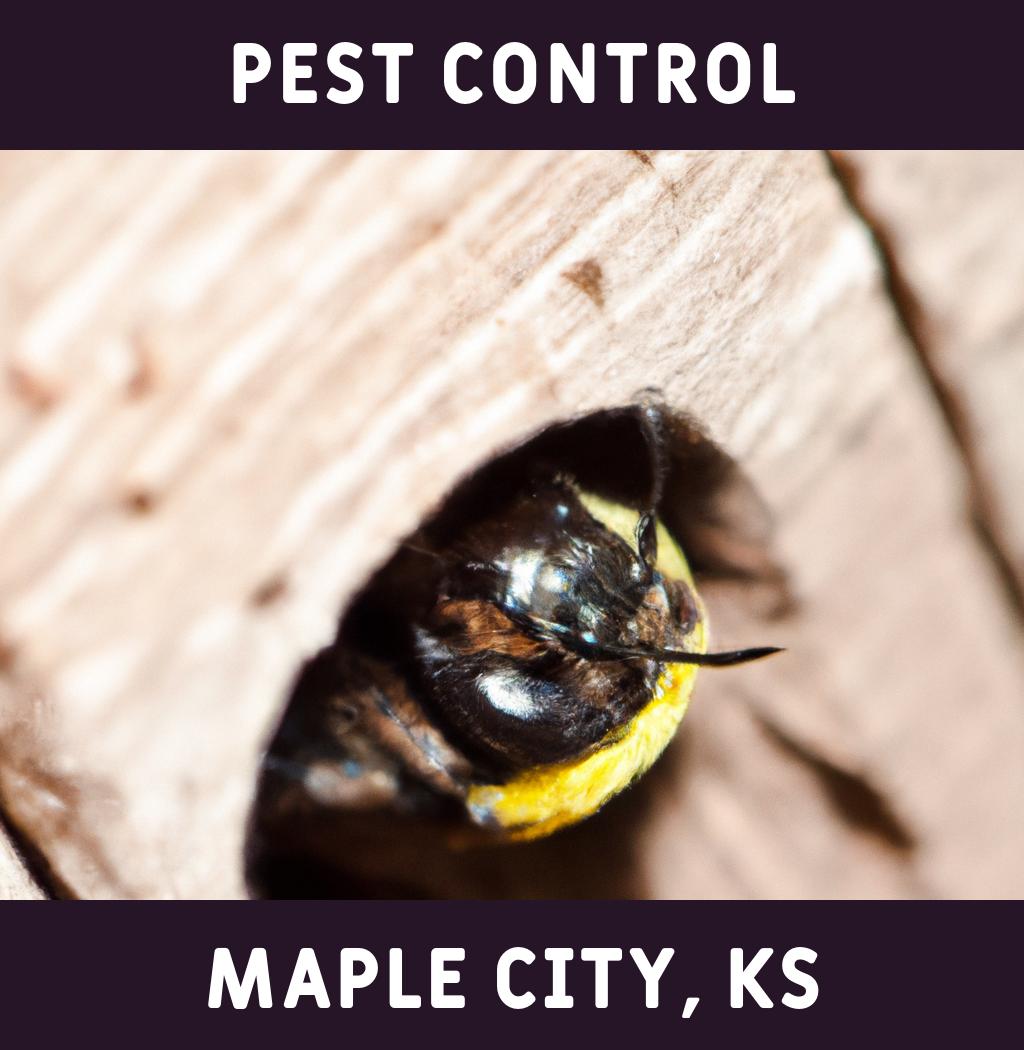 pest control in Maple City Kansas