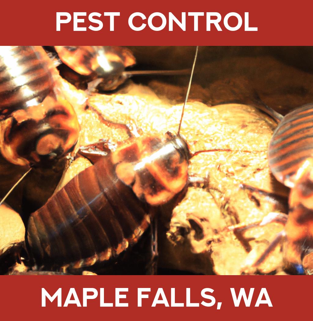 pest control in Maple Falls Washington
