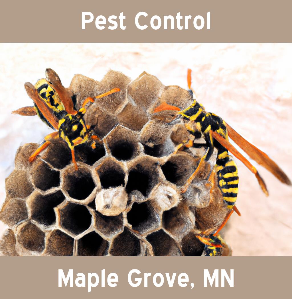 pest control in Maple Grove Minnesota