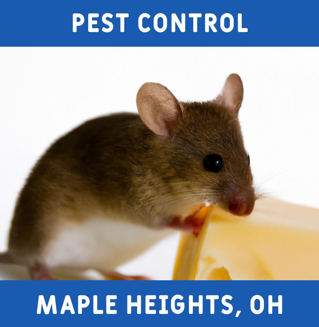 pest control in Maple Heights Ohio