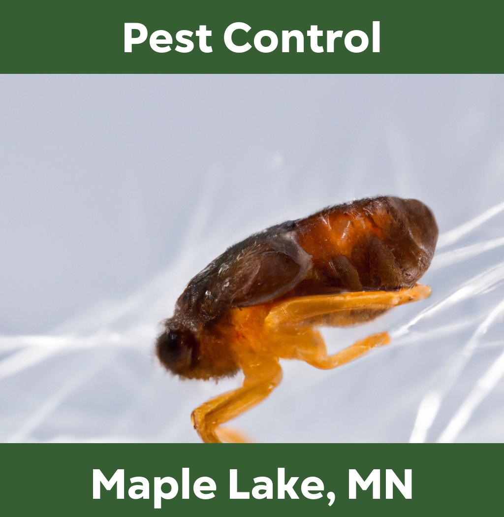 pest control in Maple Lake Minnesota