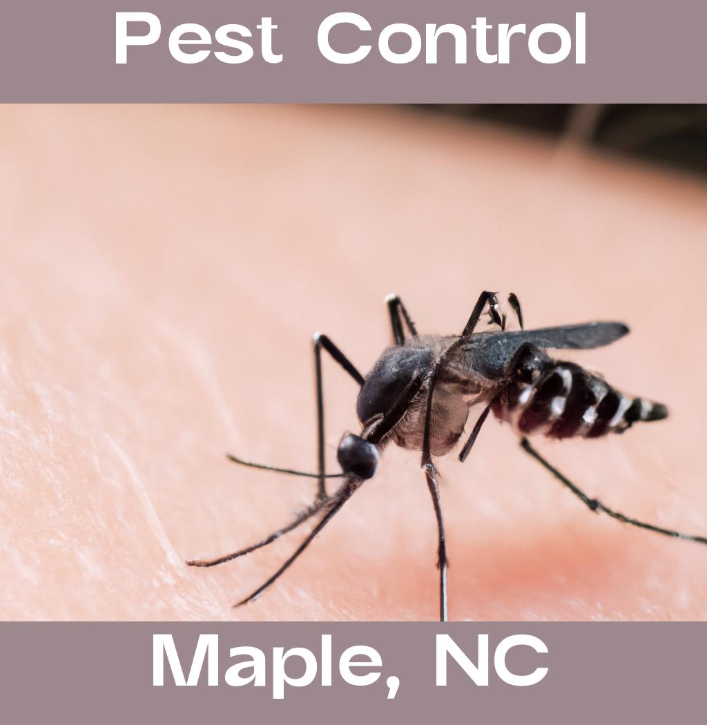 pest control in Maple North Carolina