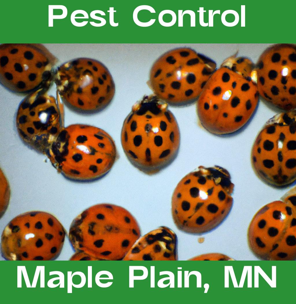 pest control in Maple Plain Minnesota