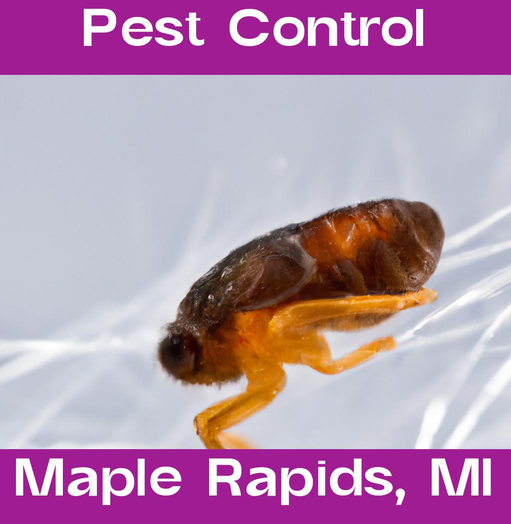 pest control in Maple Rapids Michigan