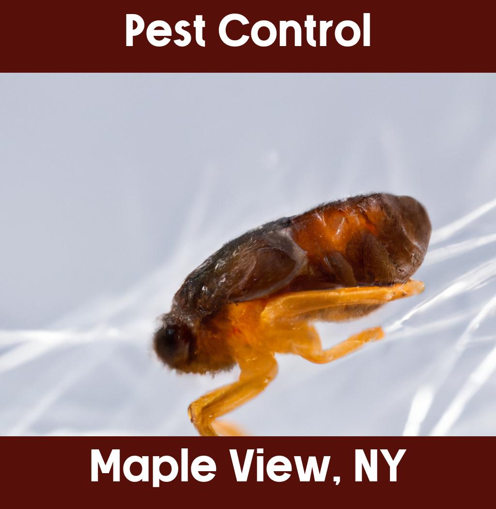 pest control in Maple View New York