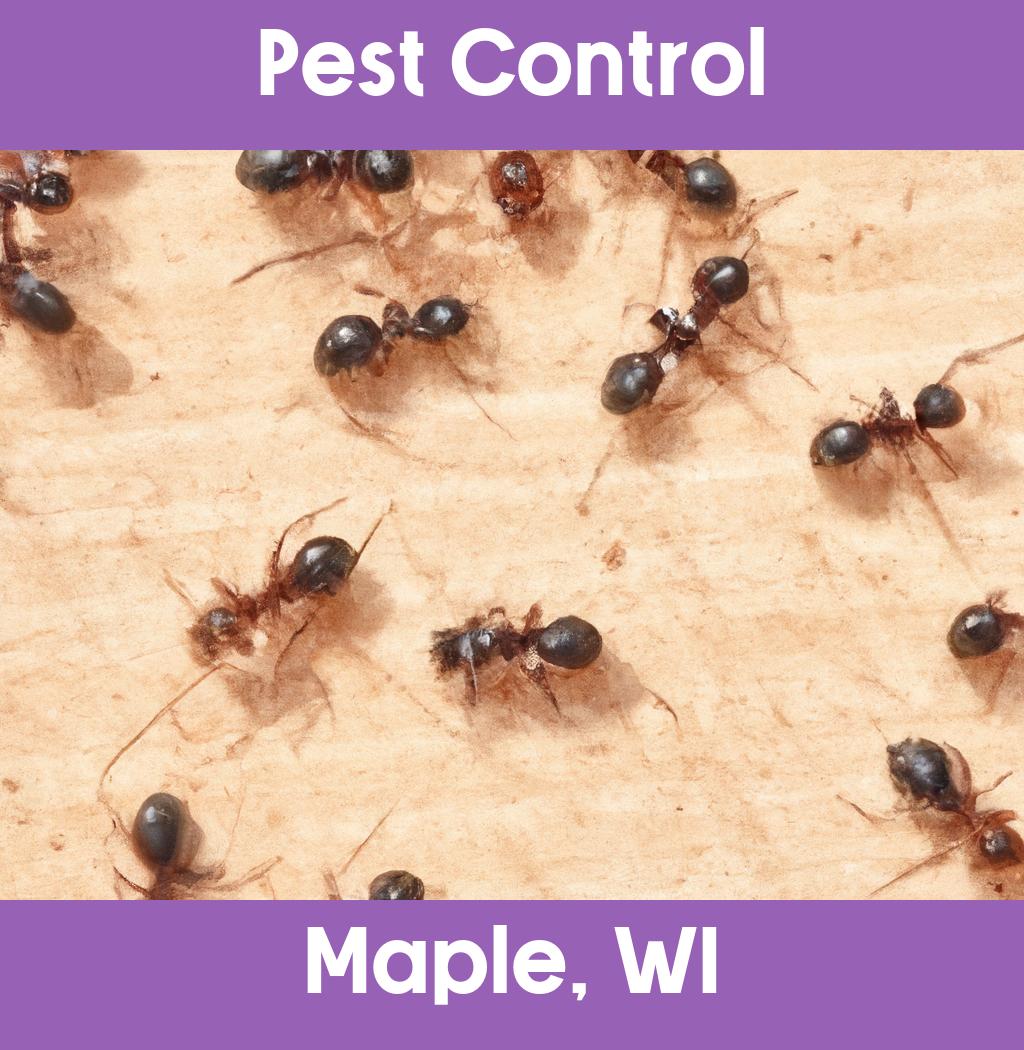 pest control in Maple Wisconsin