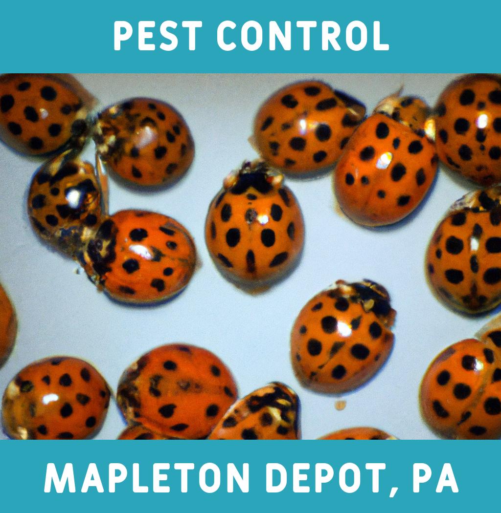pest control in Mapleton Depot Pennsylvania