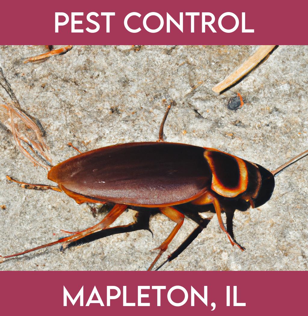 pest control in Mapleton Illinois