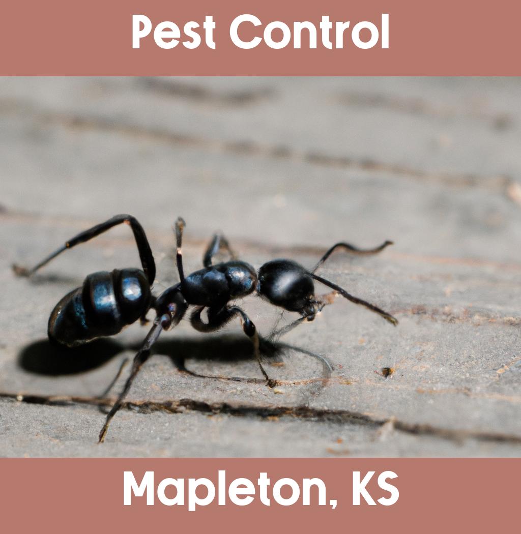 pest control in Mapleton Kansas