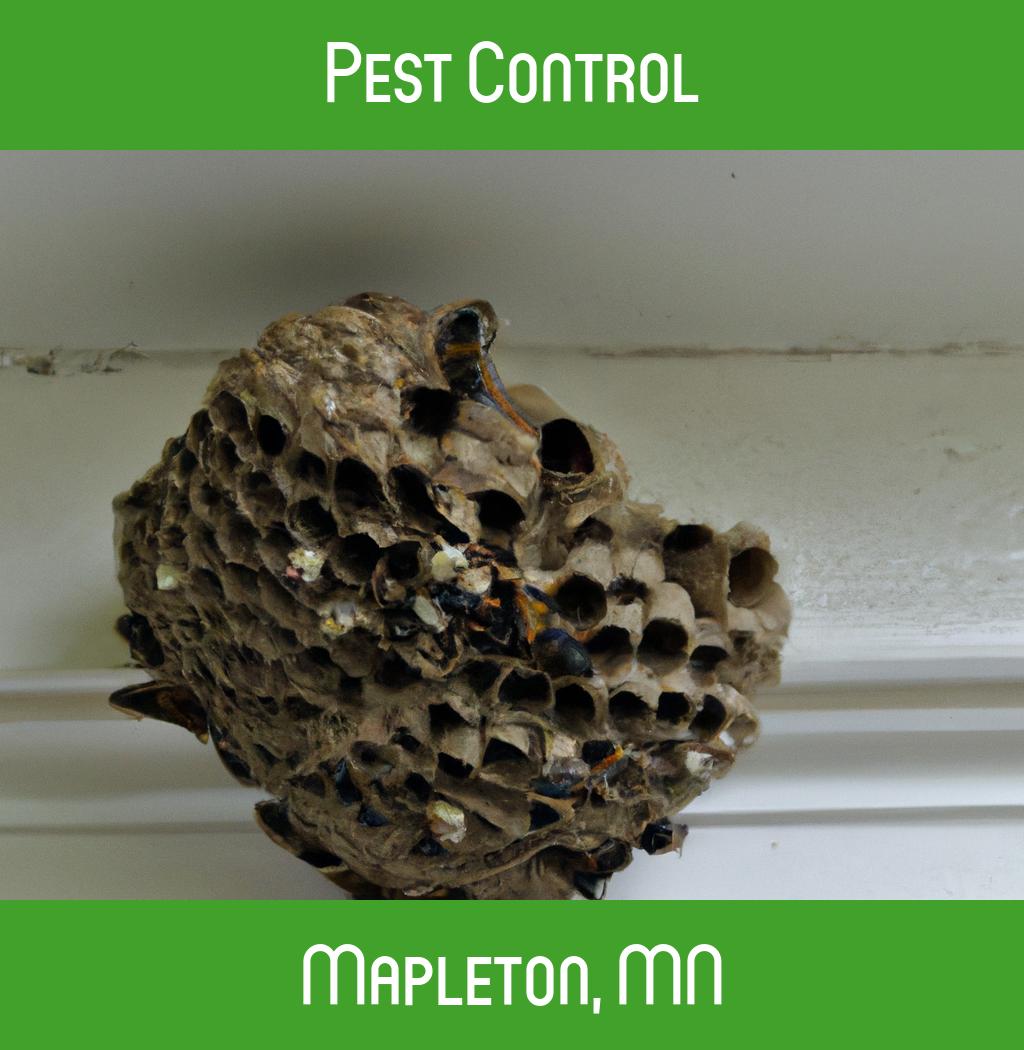 pest control in Mapleton Minnesota