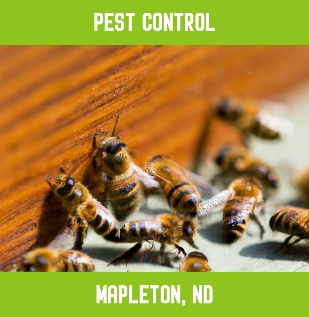 pest control in Mapleton North Dakota