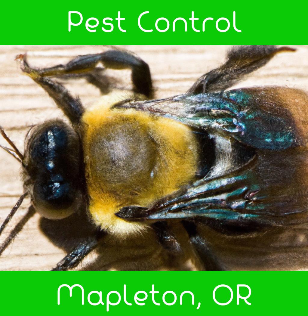 pest control in Mapleton Oregon