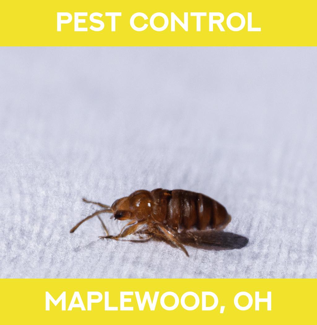 pest control in Maplewood Ohio